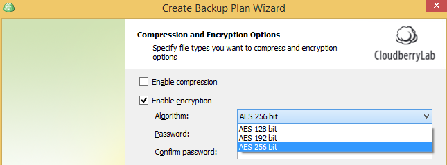 AES support for on-site encryption